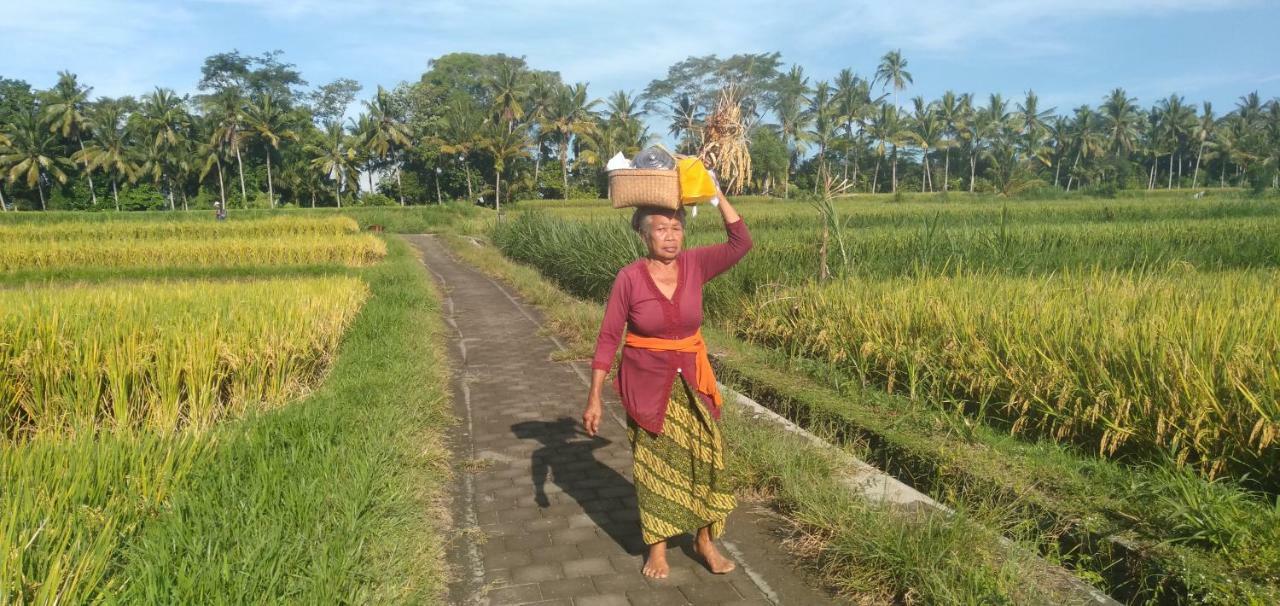 Lovely Sunrise 3 Bedroom Villa Ubud